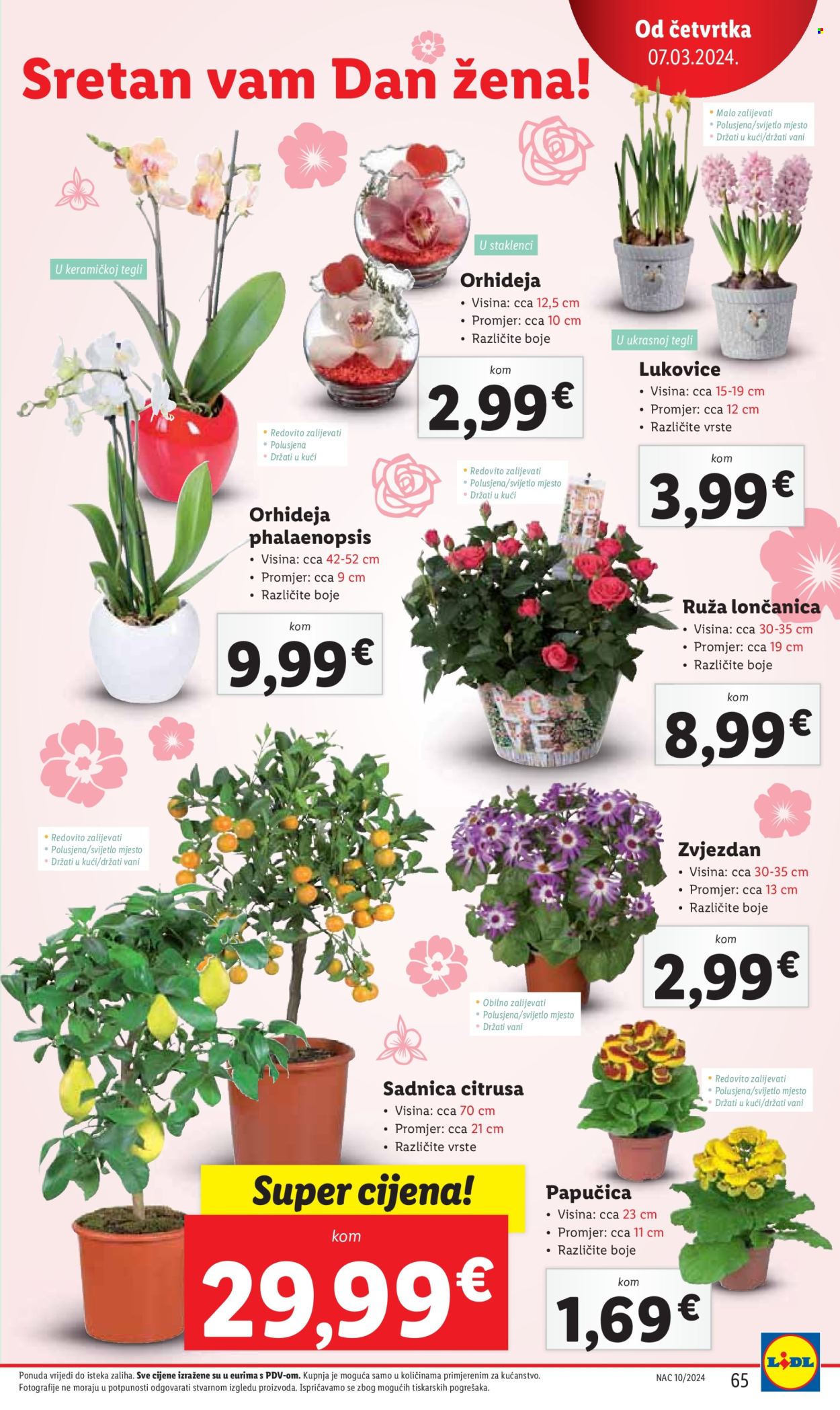 Lidl katalog - 04.03.2024. - 10.03.2024. Stranica 65