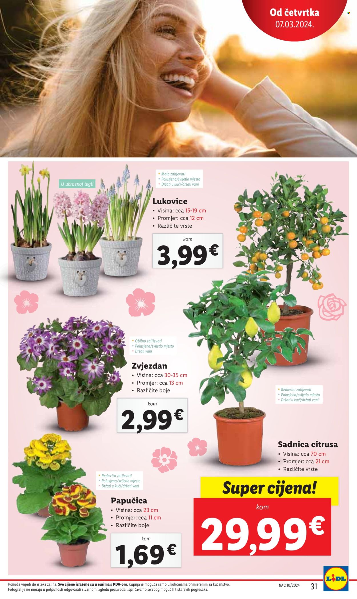 Lidl katalog - 07.03.2024. - 10.03.2024. Stranica 31