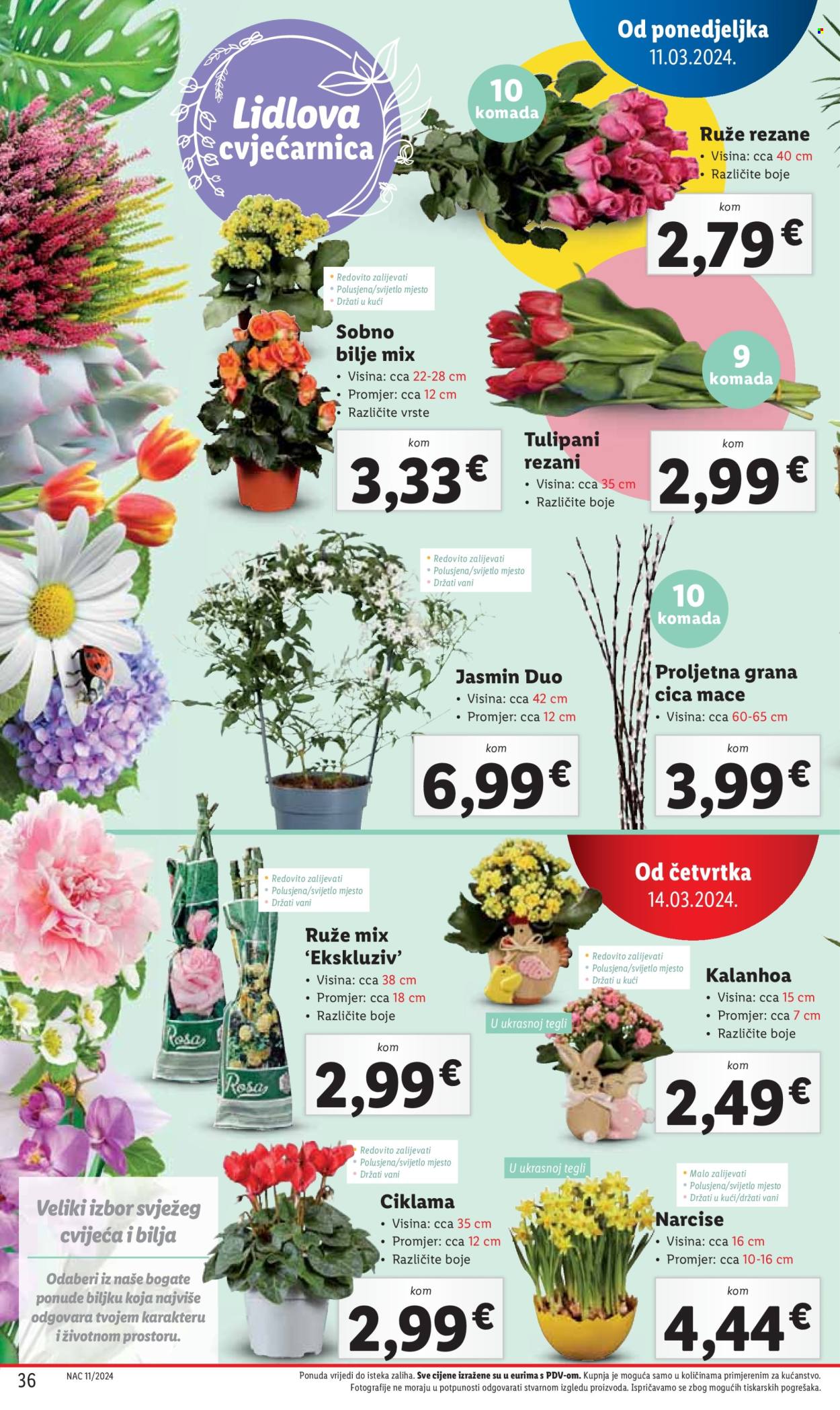 Lidl katalog - 11.03.2024. - 17.03.2024. Stranica 36