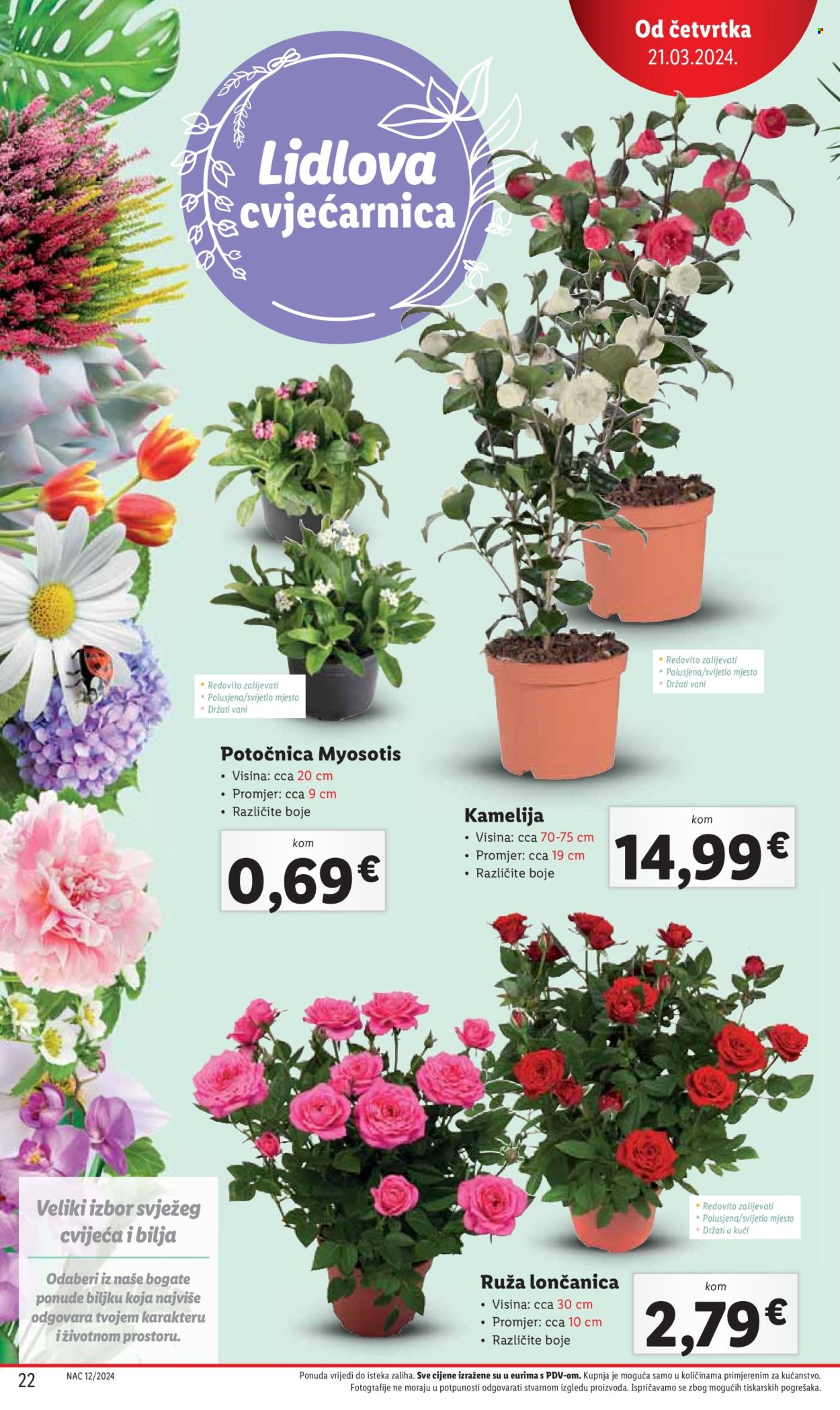 Lidl katalog - 21.03.2024. - 24.03.2024. Stranica 22