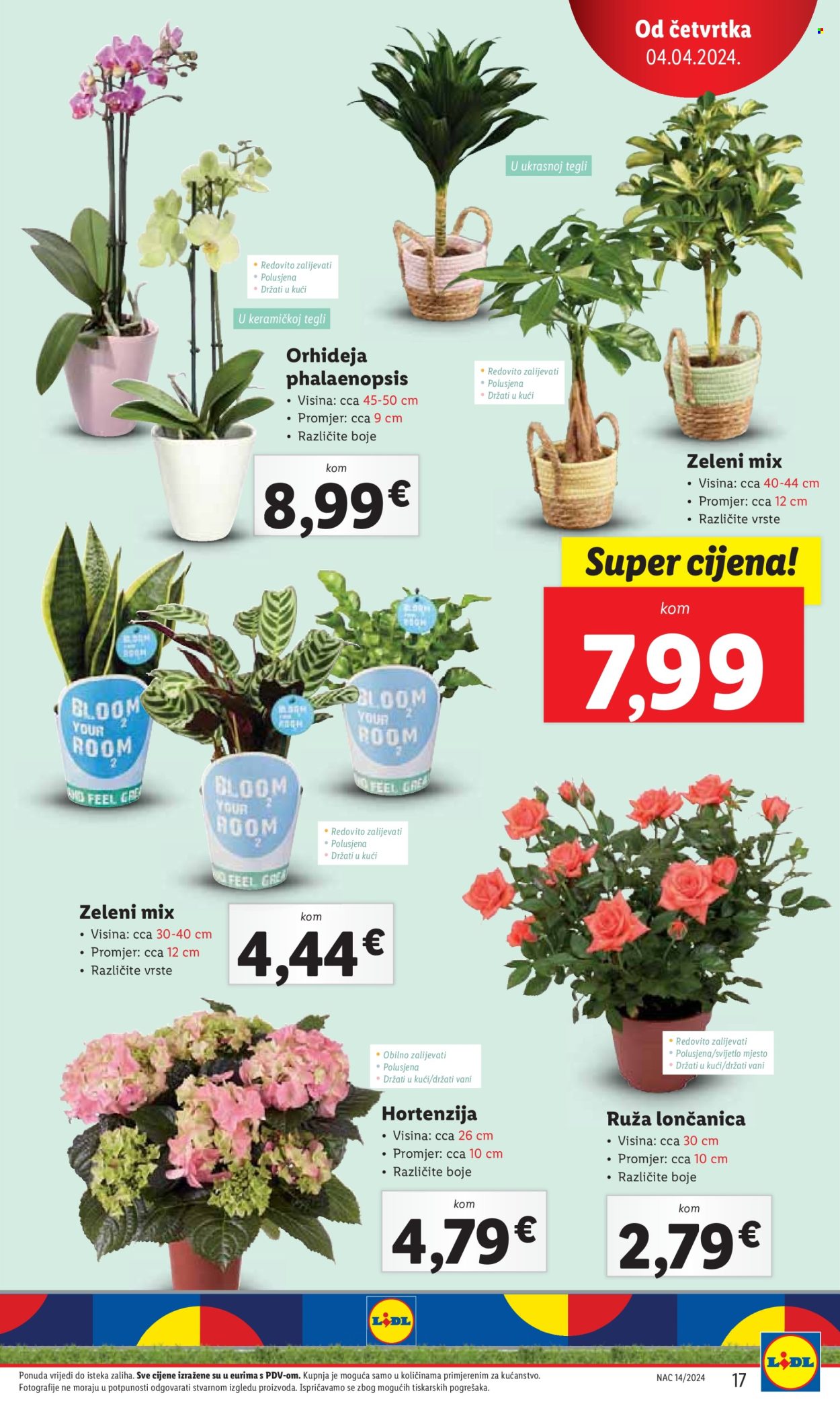 Lidl katalog - 04.04.2024. - 07.04.2024. Stranica 17