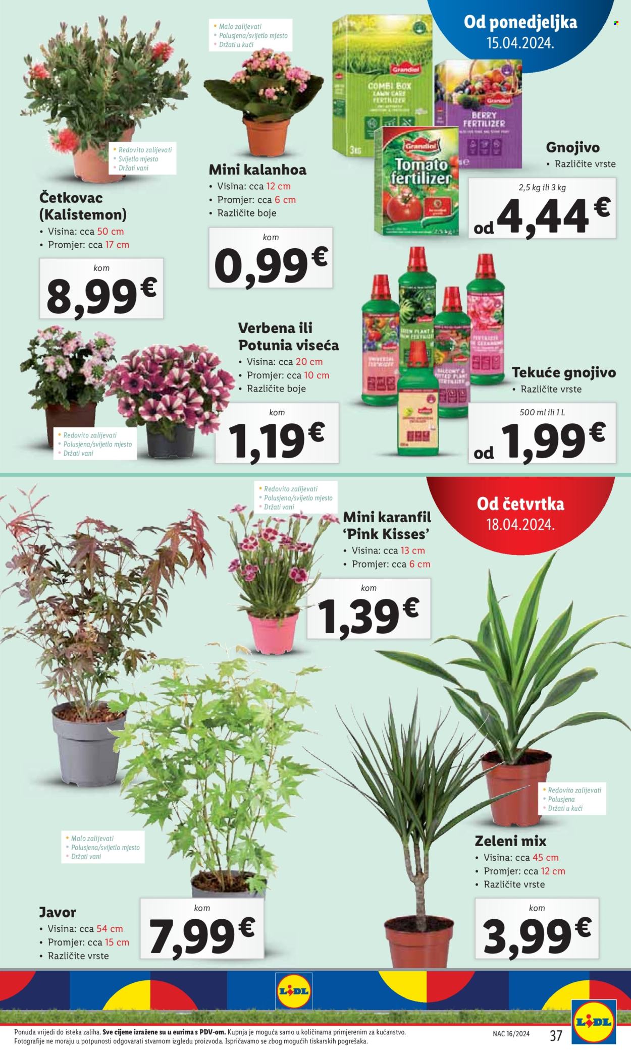 Lidl katalog - 15.04.2024. - 21.04.2024. Stranica 37