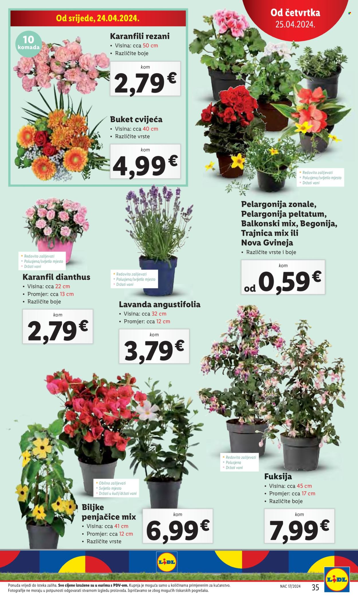 Lidl katalog - 22.04.2024. - 28.04.2024. Stranica 35