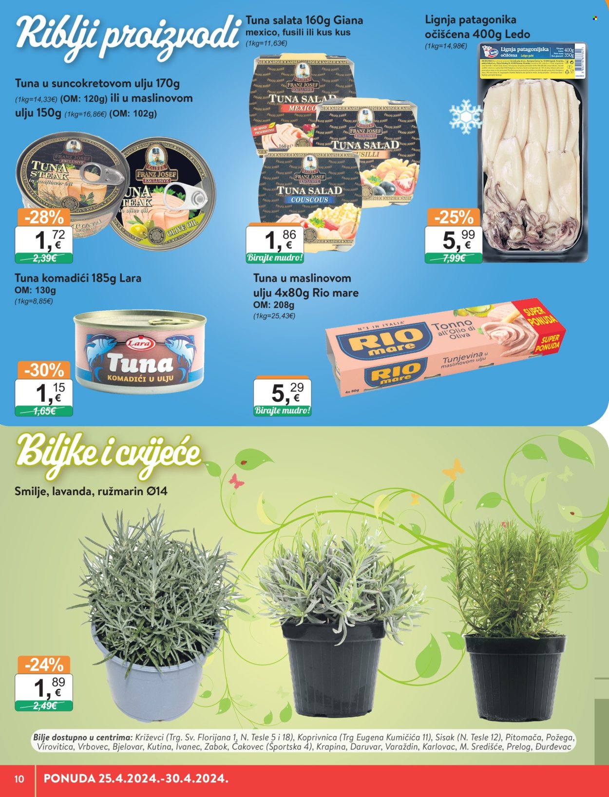 KTC katalog - 25.04.2024. - 30.04.2024. Stranica 10