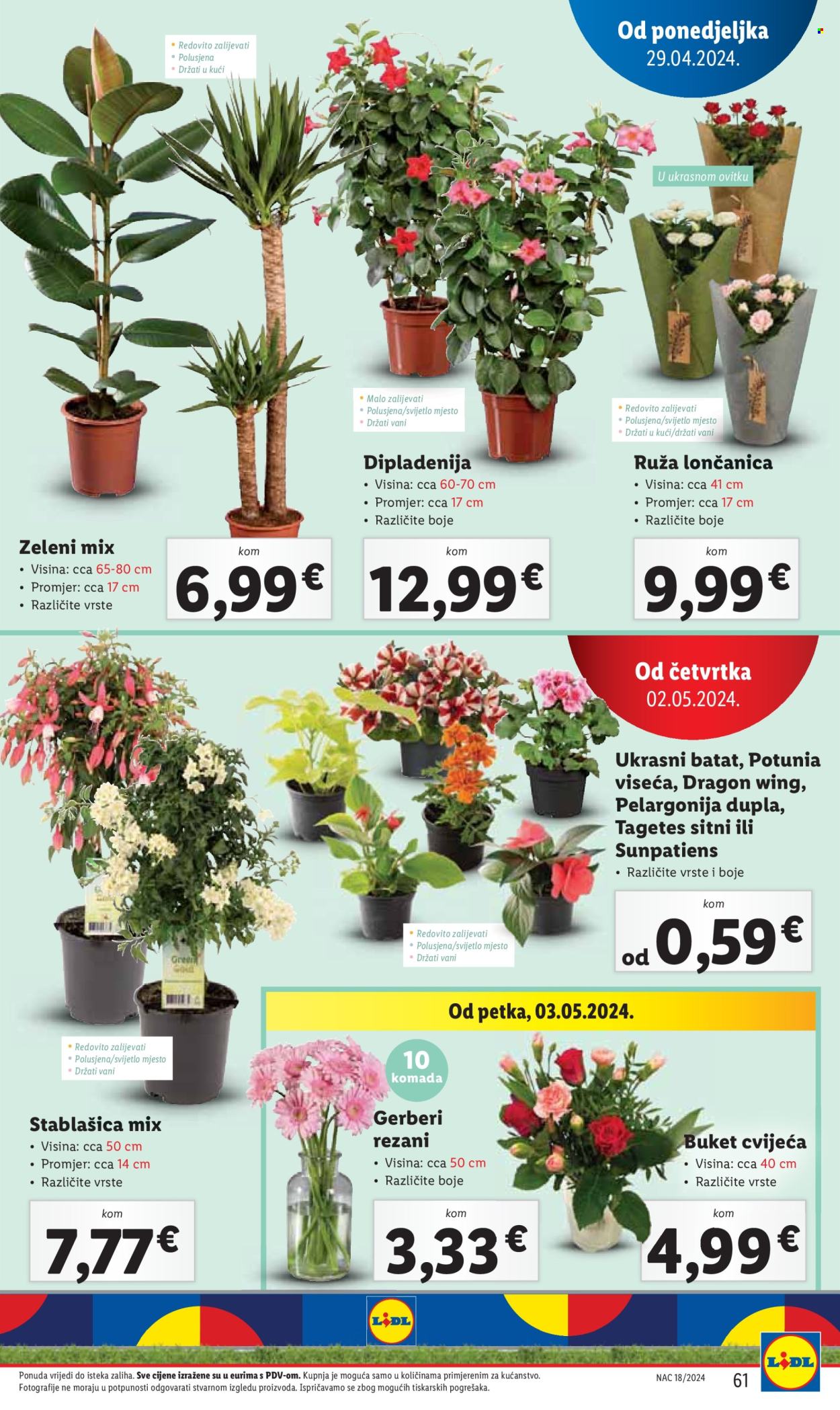 Lidl katalog - 29.04.2024. - 05.05.2024. Stranica 61