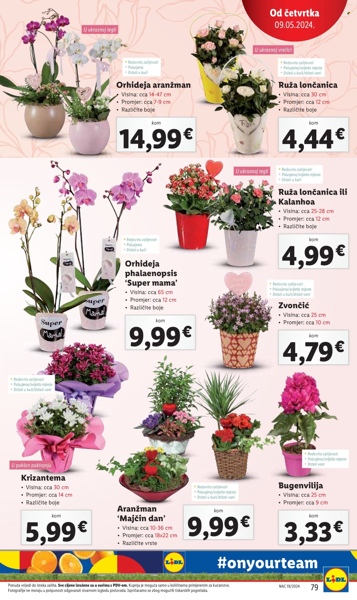 Lidl katalog - 06.05.2024. - 12.05.2024. Stranica 79