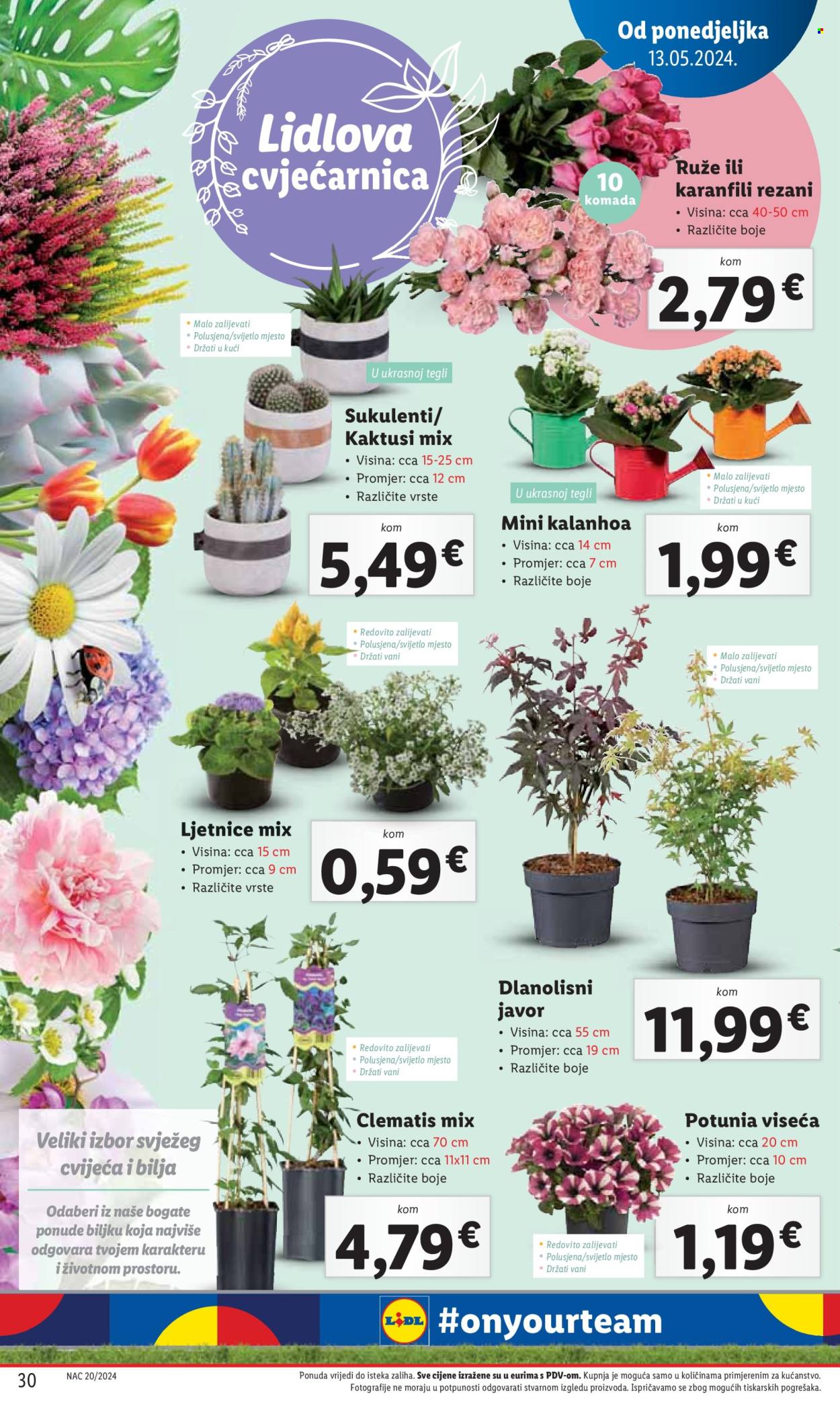 Lidl katalog - 13.05.2024. - 19.05.2024. Stranica 30