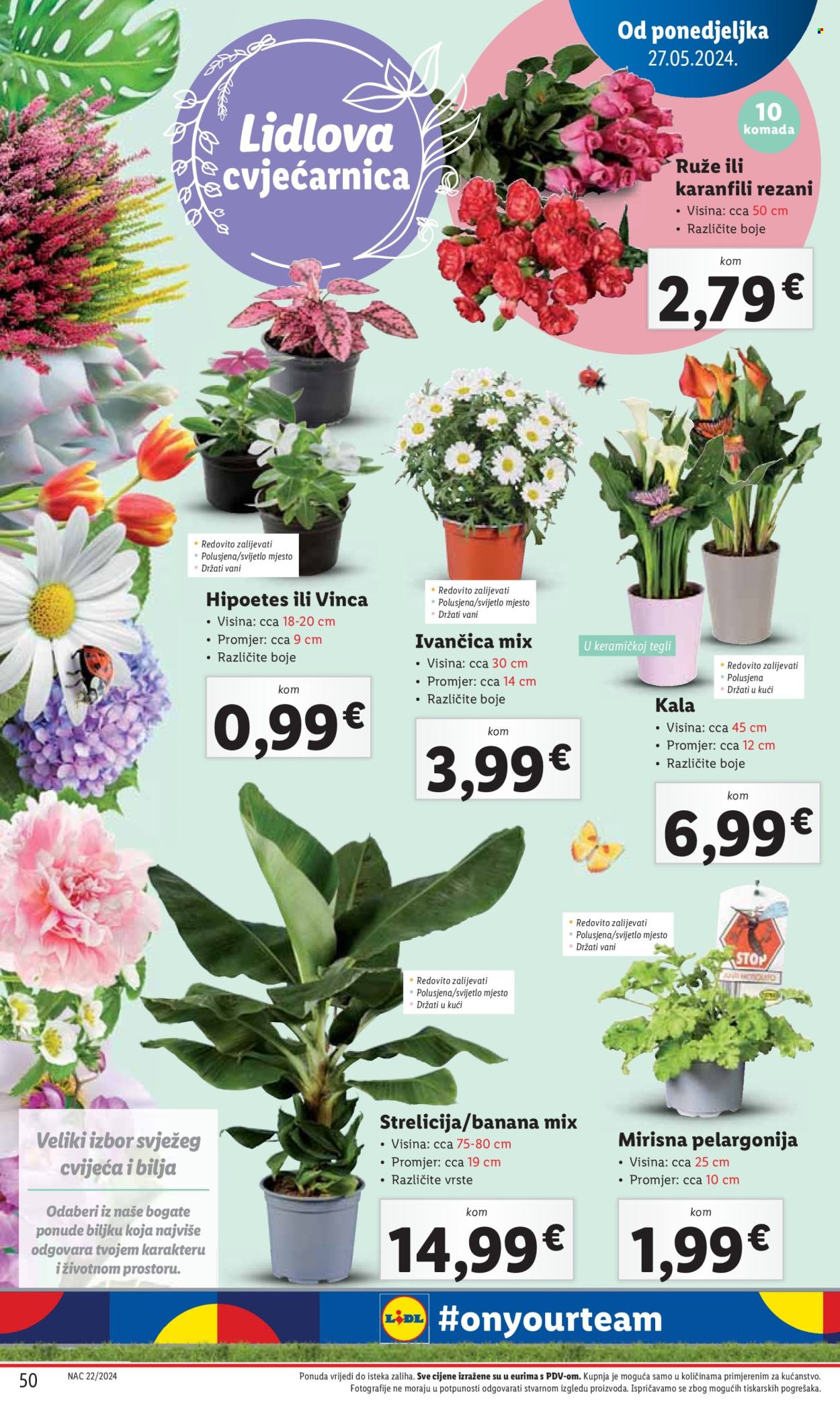 Lidl katalog - 27.05.2024. - 02.06.2024. Stranica 50