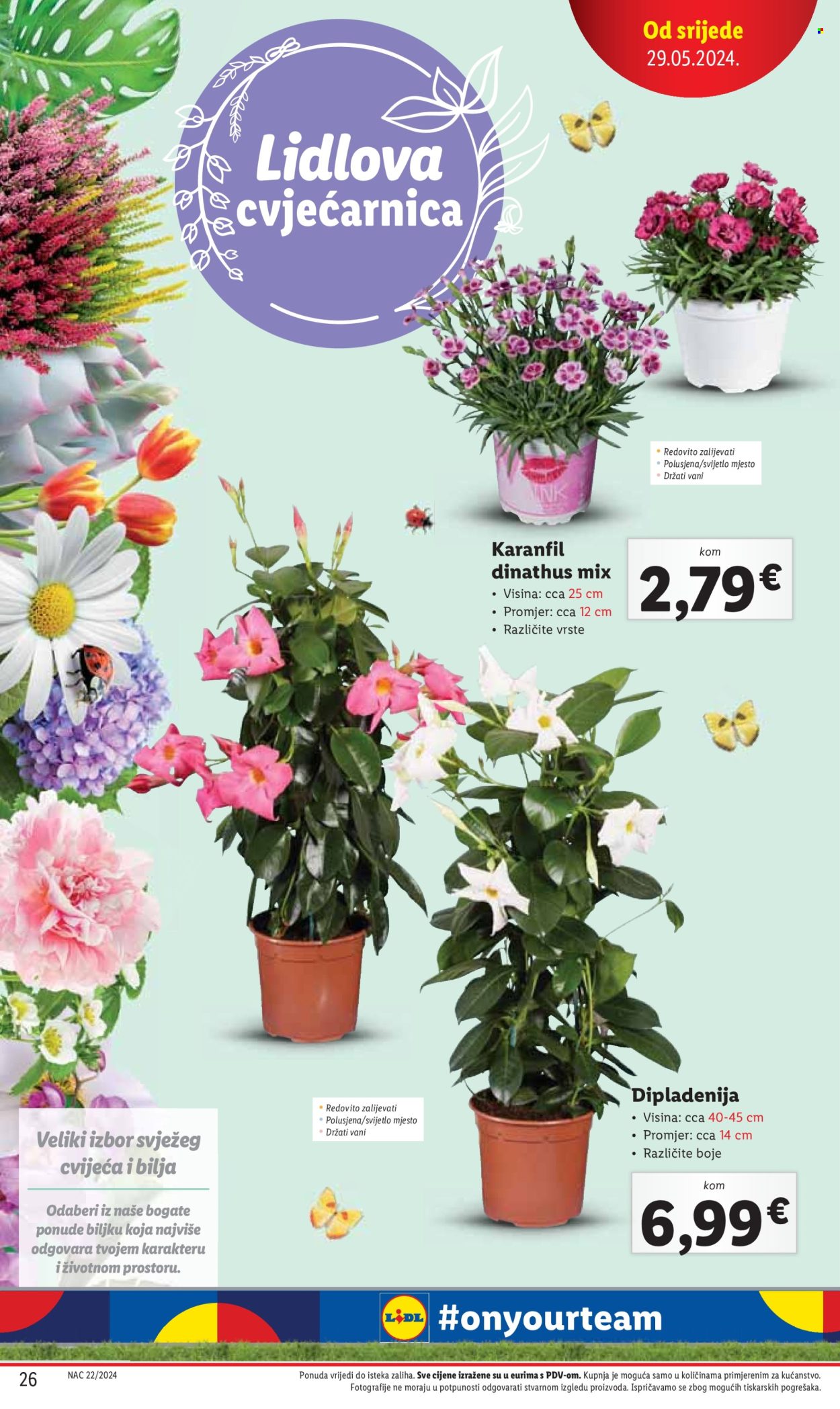 Lidl katalog - 29.05.2024. - 02.06.2024. Stranica 26