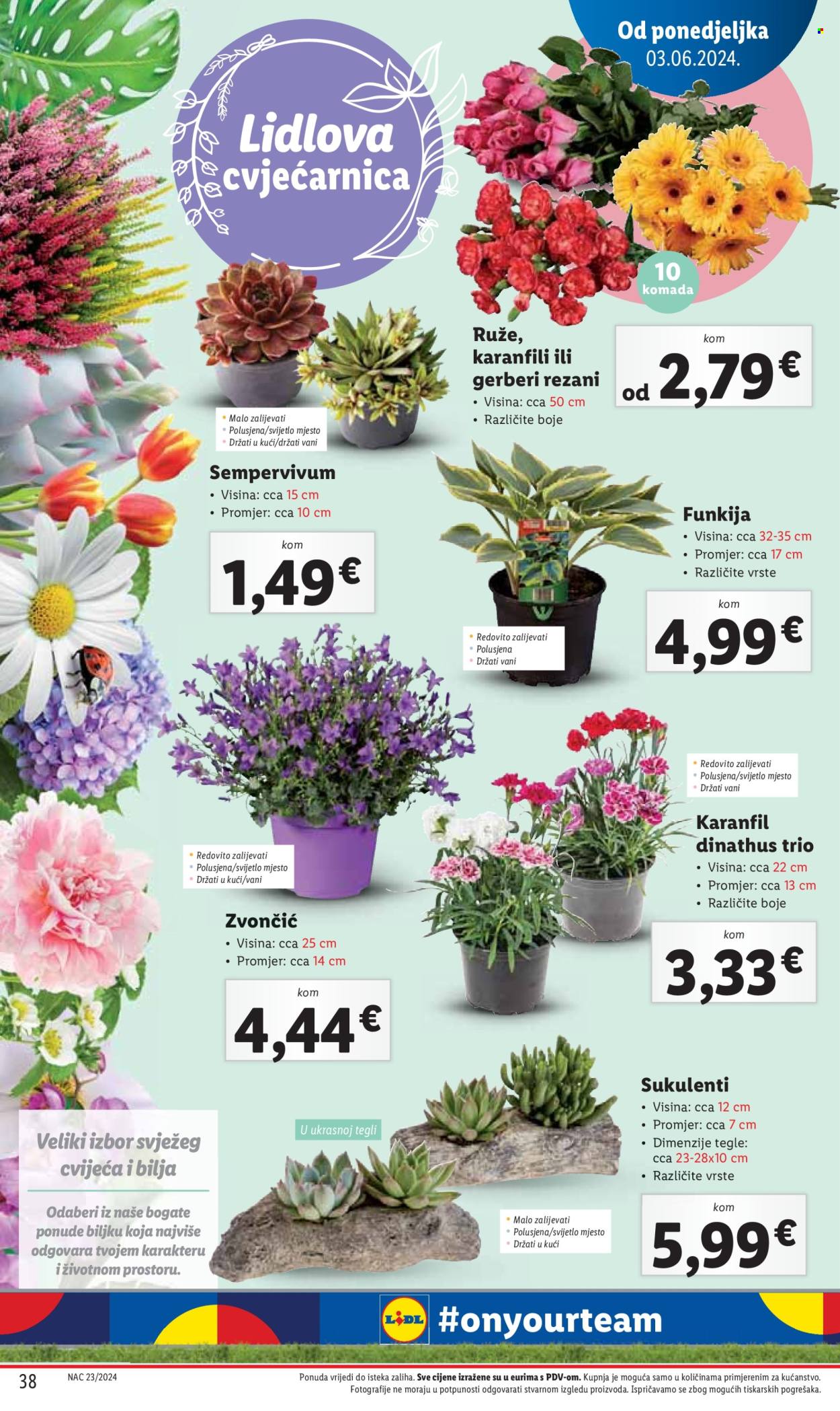 Lidl katalog - 03.06.2024. - 09.06.2024. Stranica 38