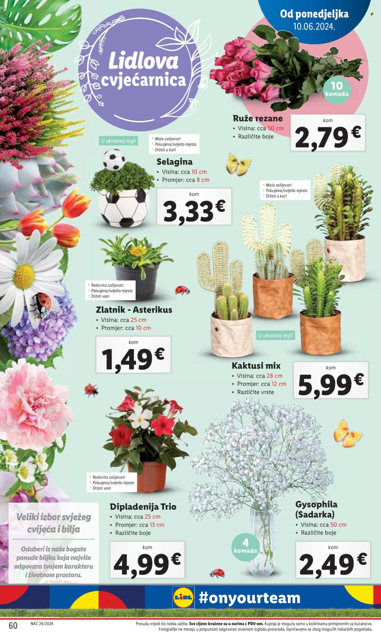 Lidl katalog - 10.06.2024. - 16.06.2024. Stranica 60