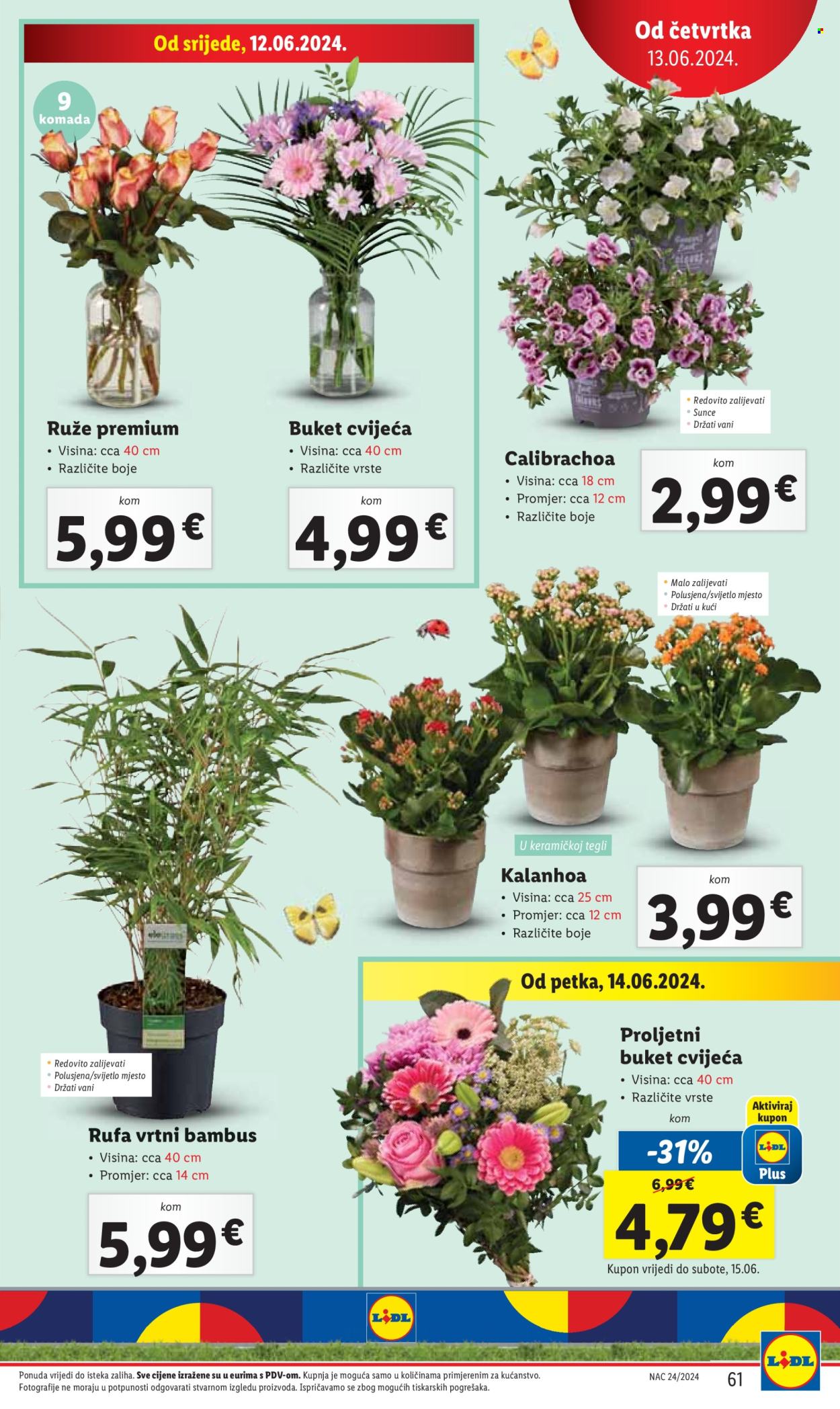 Lidl katalog - 10.06.2024. - 16.06.2024. Stranica 61