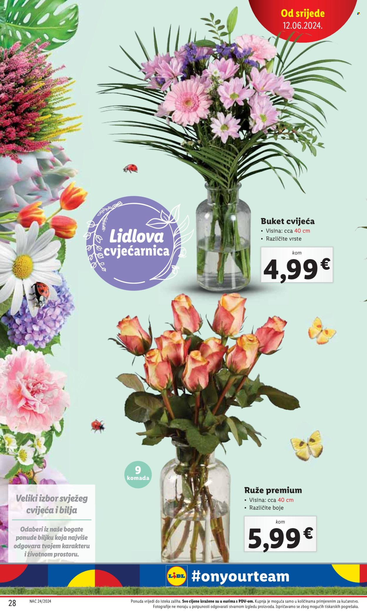 Lidl katalog - 13.06.2024. - 16.06.2024. Stranica 28