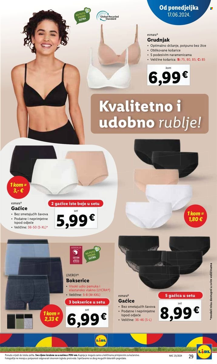 Lidl katalog - 17.06.2024. - 23.06.2024. Stranica 31
