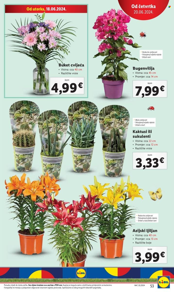 Lidl katalog - 17.06.2024. - 23.06.2024. Stranica 55
