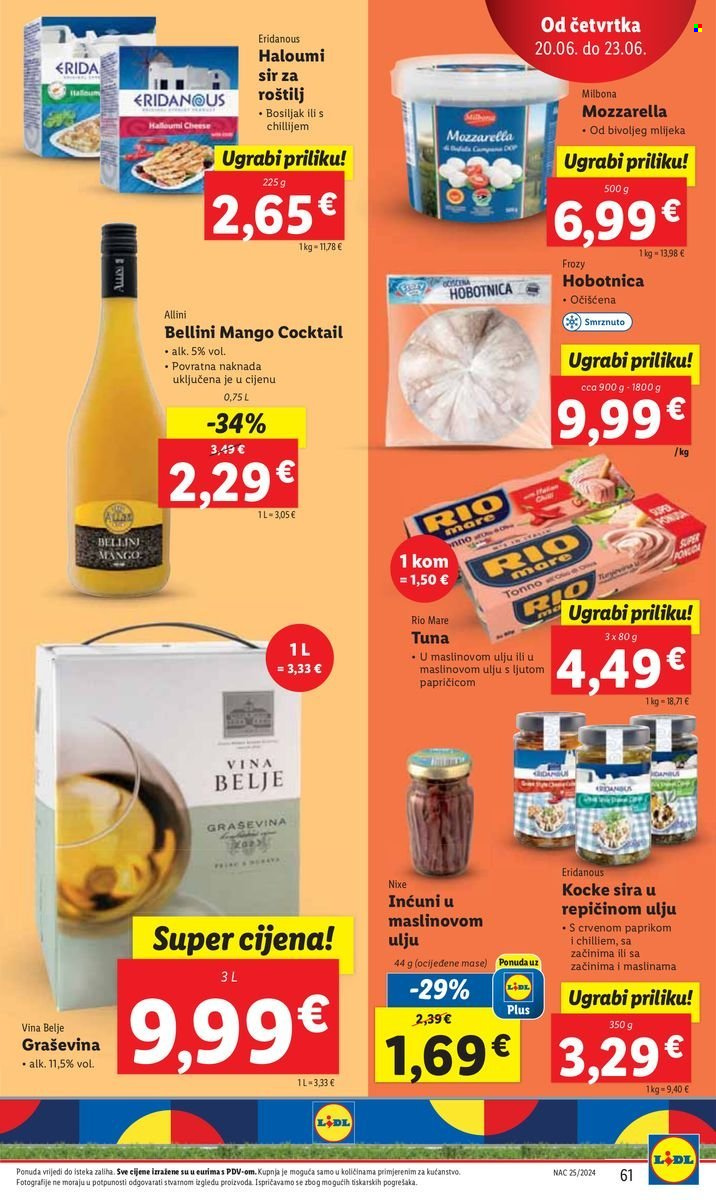 Lidl katalog - 17.06.2024. - 23.06.2024. Stranica 63