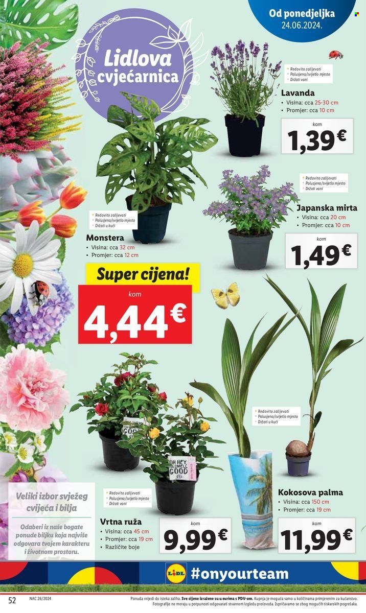 Lidl katalog - 24.06.2024. - 30.06.2024. Stranica 52
