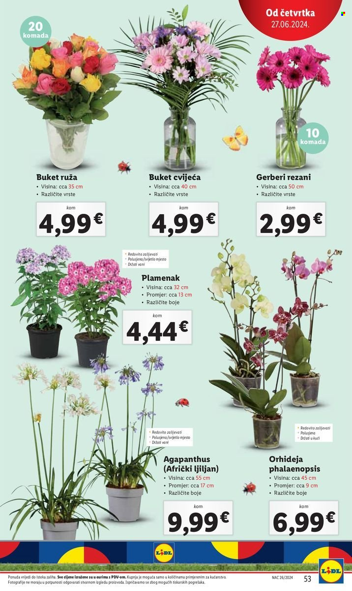 Lidl katalog - 24.06.2024. - 30.06.2024. Stranica 53