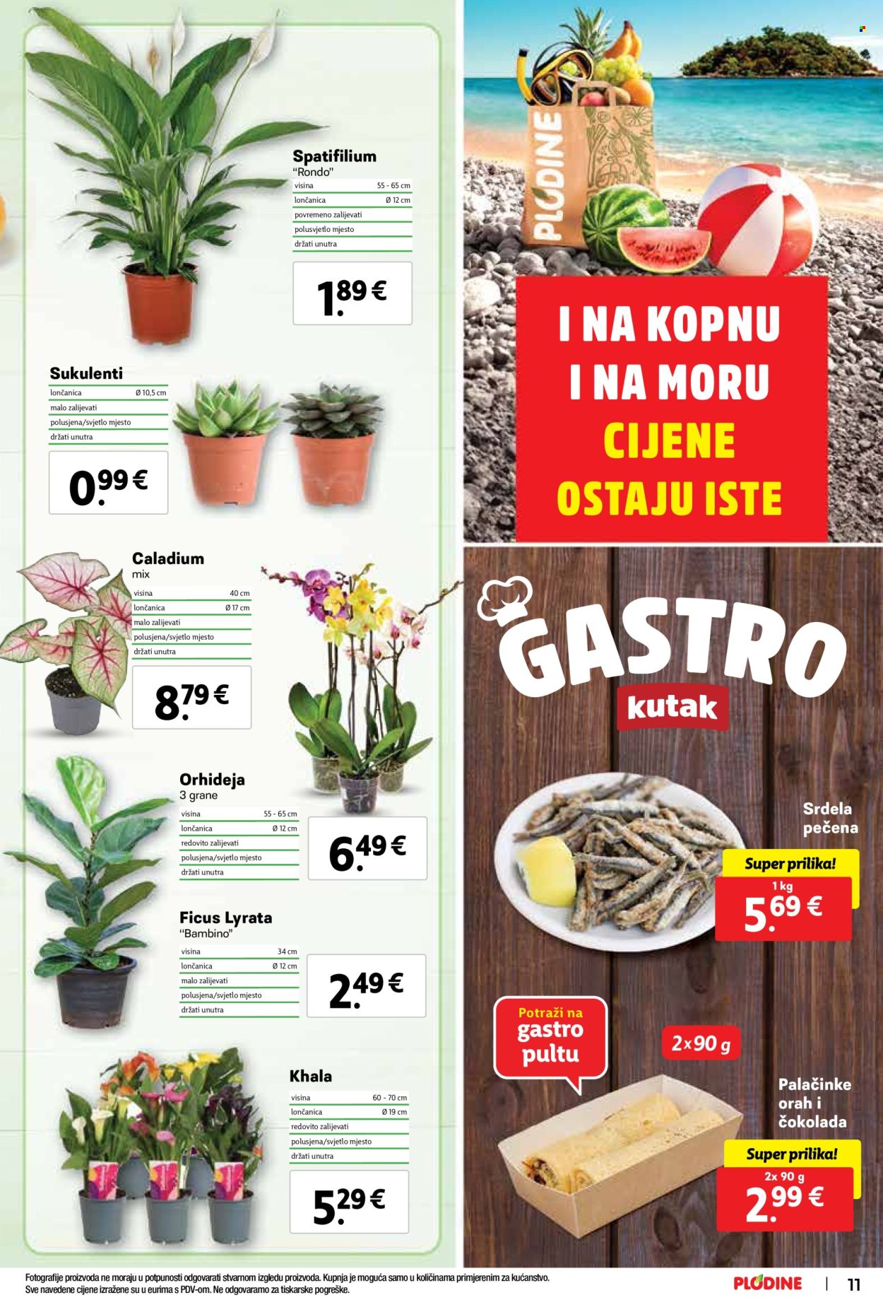 Plodine katalog - 26.06.2024. - 02.07.2024. Stranica 11