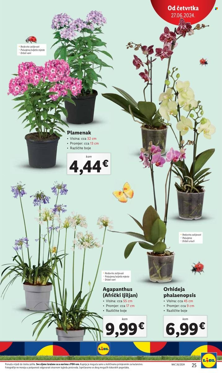 Lidl katalog - 27.06.2024. - 30.06.2024. Stranica 25