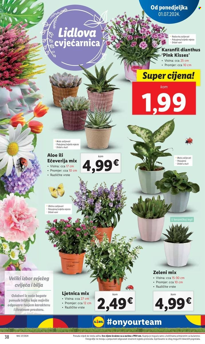 Lidl katalog - 01.07.2024. - 07.07.2024. Stranica 38