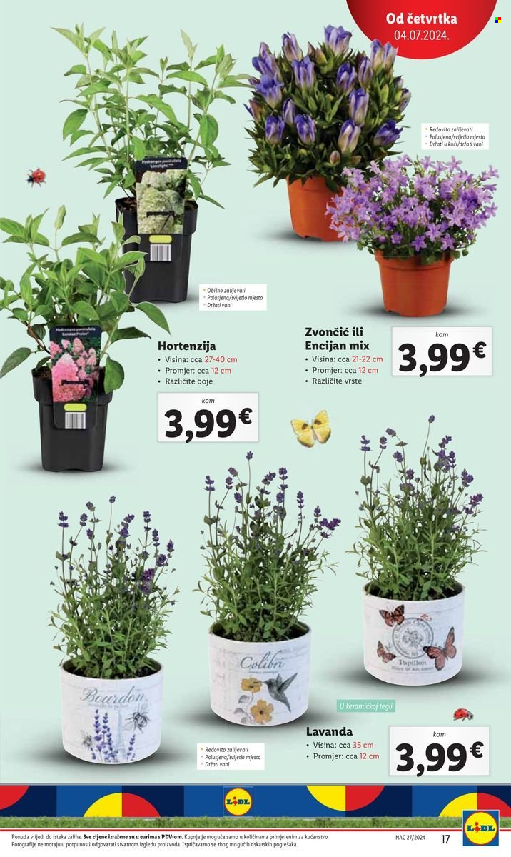 Lidl katalog - 04.07.2024. - 07.07.2024. Stranica 17