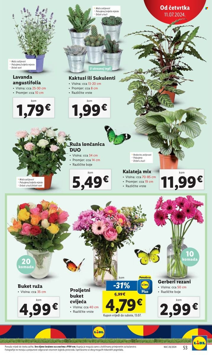 Lidl katalog - 08.07.2024. - 14.07.2024. Stranica 53