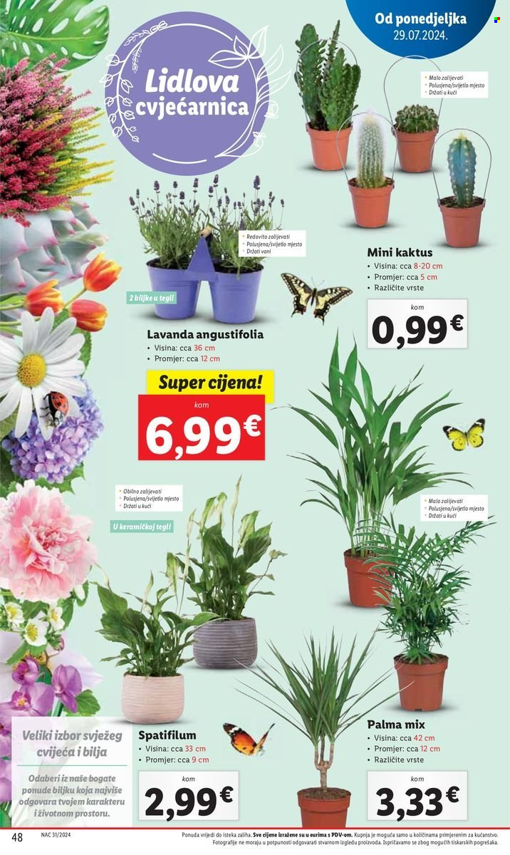 Lidl katalog - 29.07.2024. - 04.08.2024. Stranica 48