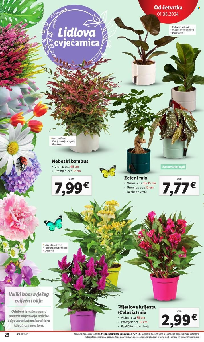 Lidl katalog - 01.08.2024. - 04.08.2024. Stranica 28