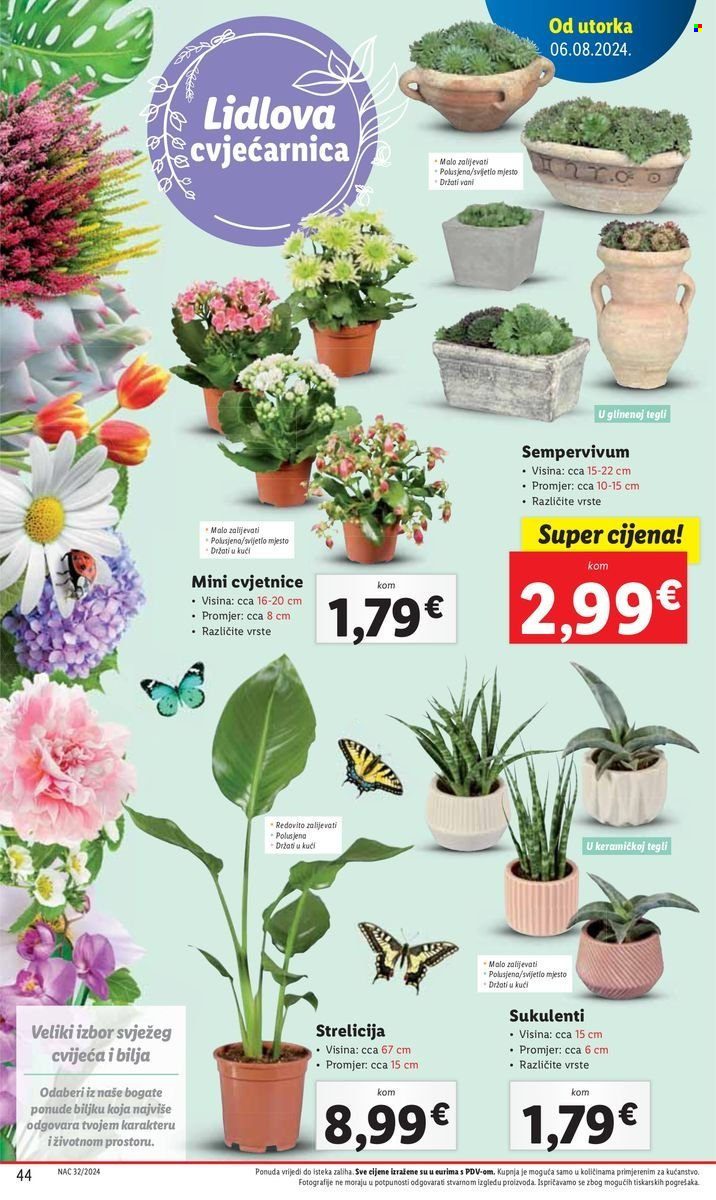 Lidl katalog - 06.08.2024. - 11.08.2024. Stranica 44