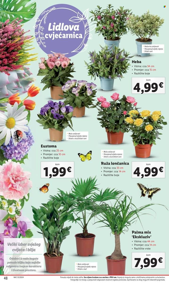 Lidl katalog - 12.08.2024. - 18.08.2024. Stranica 48
