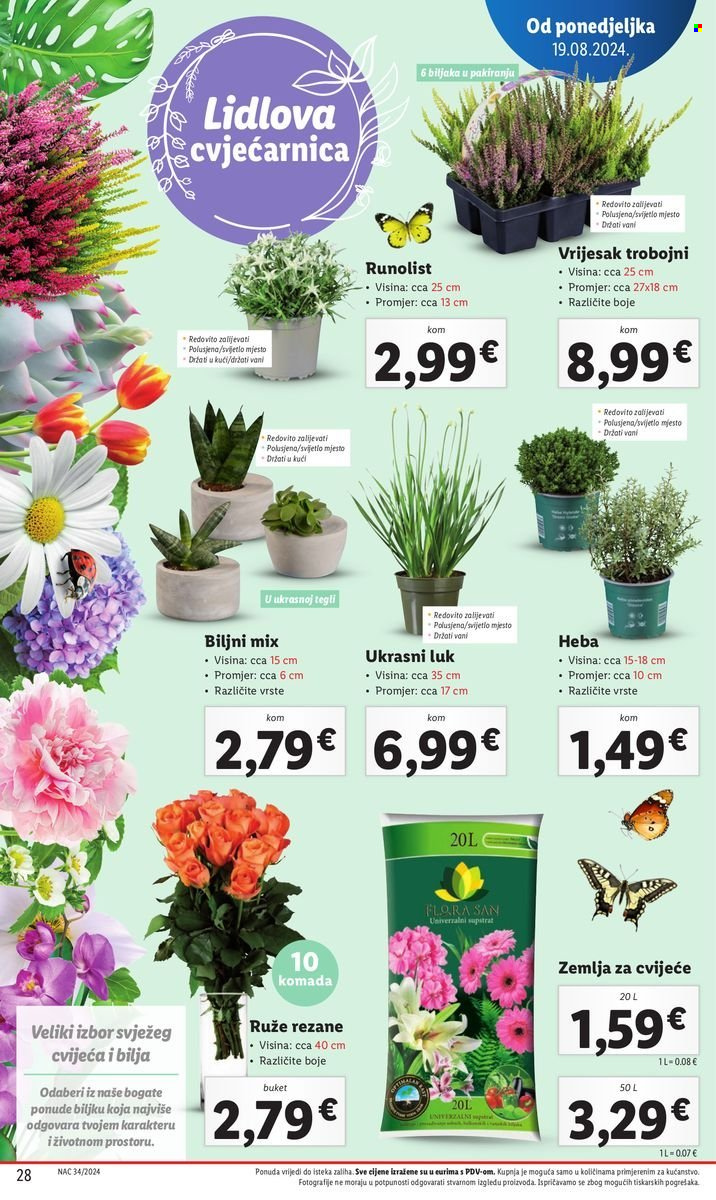 Lidl katalog - 19.08.2024. - 25.08.2024. Stranica 28