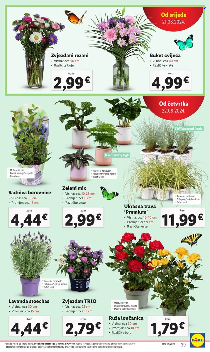 Lidl katalog - 19.08.2024. - 25.08.2024. Stranica 29