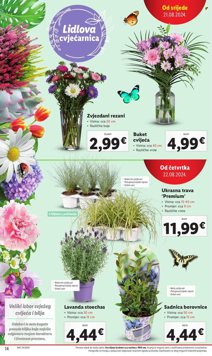 Lidl katalog - 22.08.2024. - 25.08.2024. Stranica 14