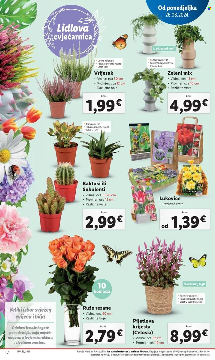 Lidl katalog - 29.08.2024. - 01.09.2024. Stranica 12