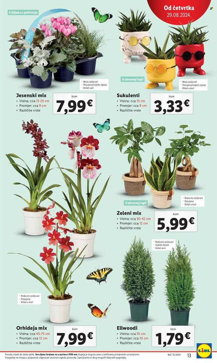 Lidl katalog - 29.08.2024. - 01.09.2024. Stranica 13