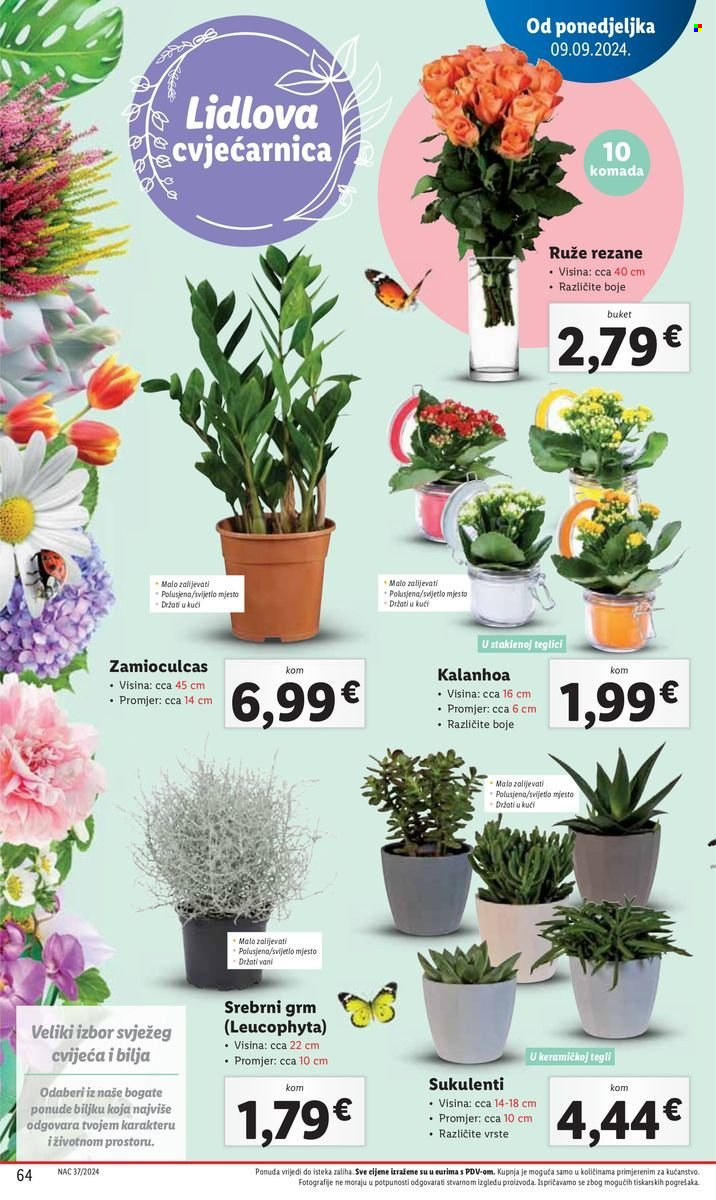 Lidl katalog - 09.09.2024. - 15.09.2024. Stranica 64