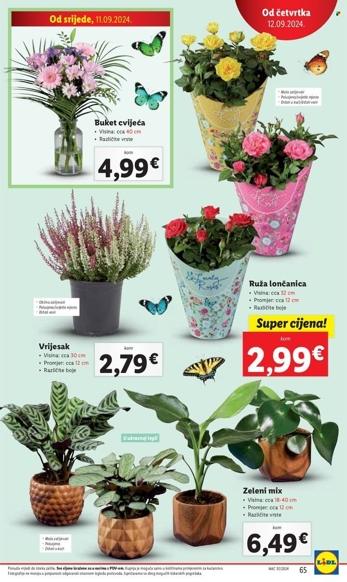 Lidl katalog - 09.09.2024. - 15.09.2024. Stranica 65