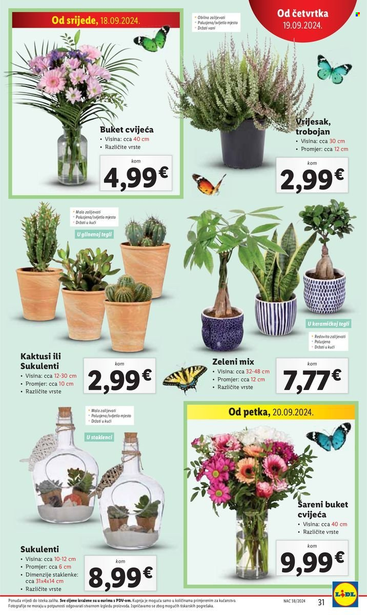 Lidl katalog - 16.09.2024. - 22.09.2024. Stranica 31