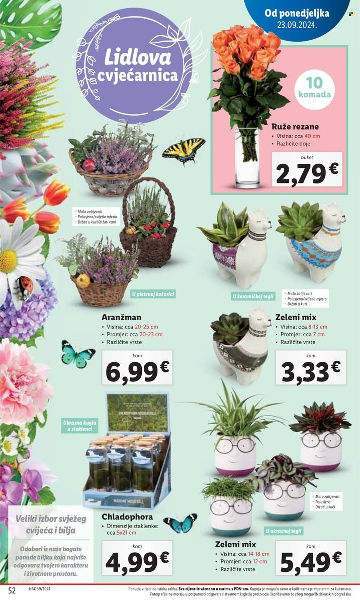 Lidl katalog - 23.09.2024. - 29.09.2024. Stranica 52