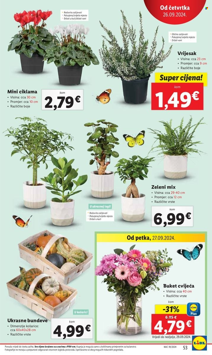 Lidl katalog - 23.09.2024. - 29.09.2024. Stranica 53
