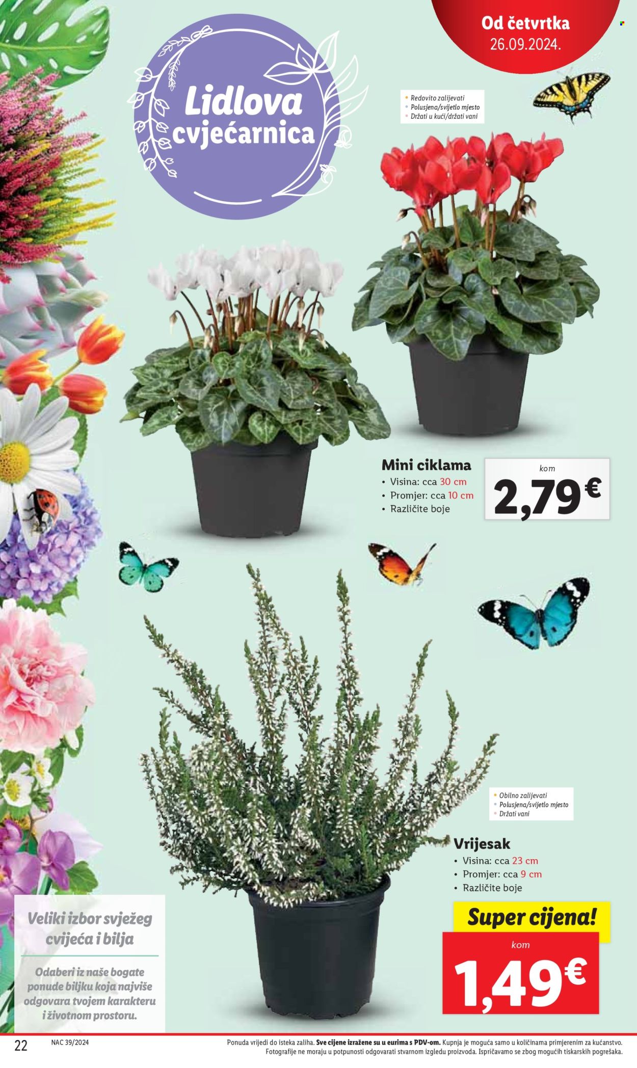 Lidl katalog - 26.09.2024. - 29.09.2024. Stranica 22