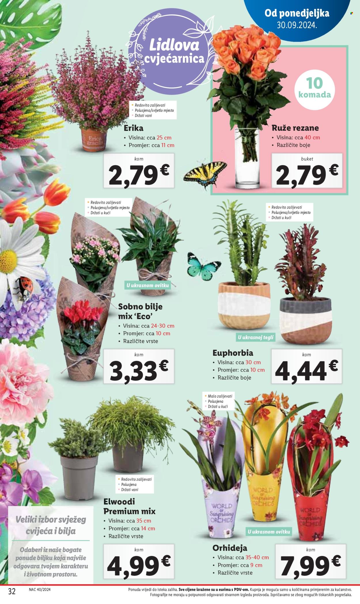 Lidl katalog - 03.10.2024. - 06.10.2024. Stranica 32