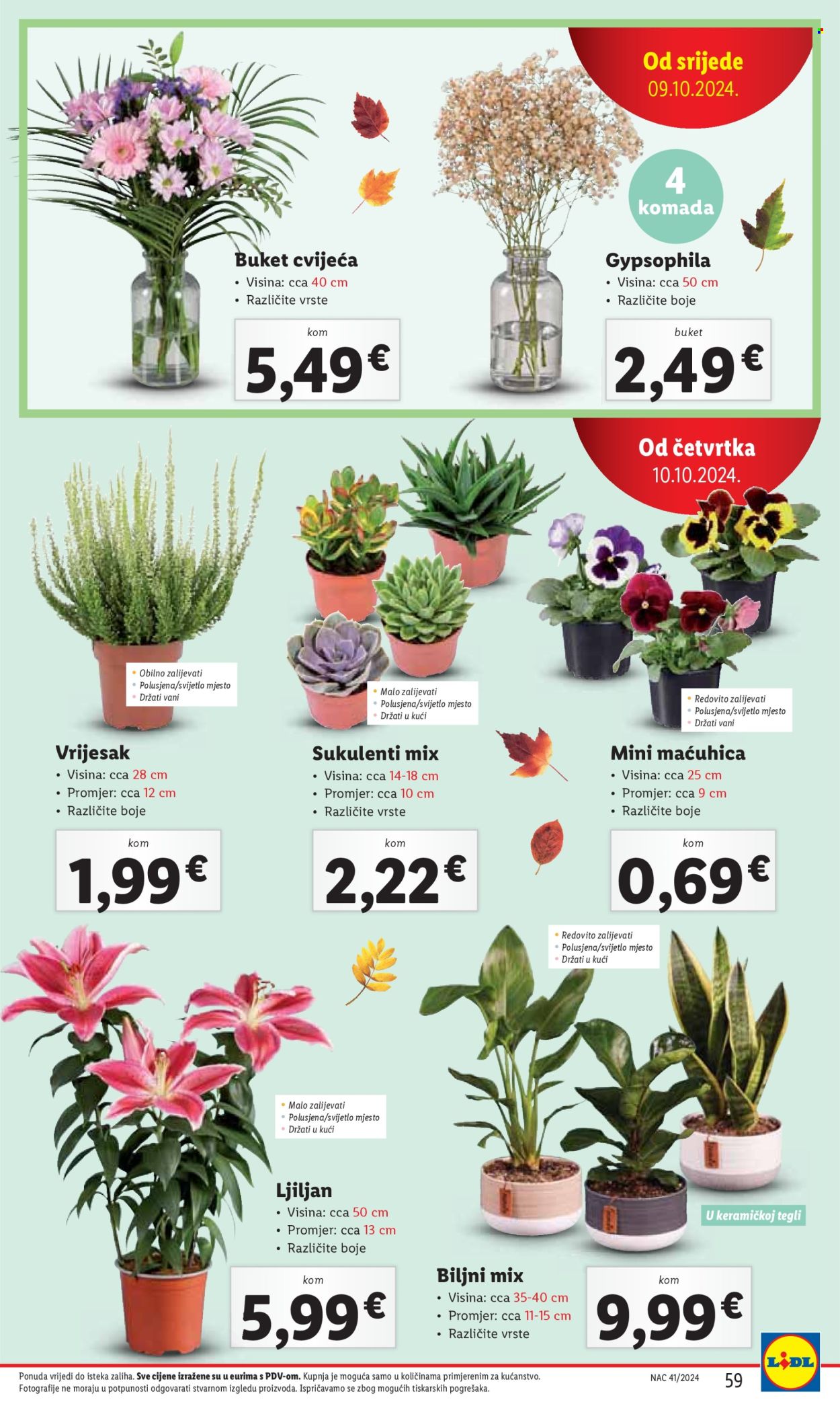 Lidl katalog - 07.10.2024. - 13.10.2024. Stranica 59