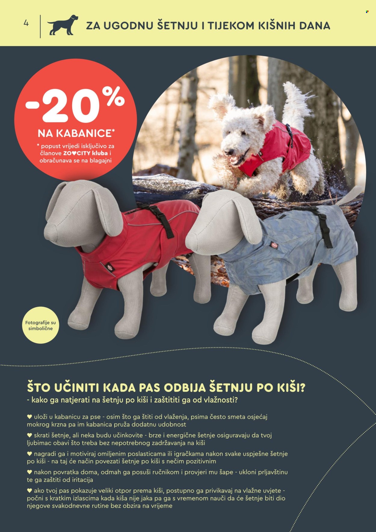 Zoo City katalog - 07.10.2024. - 27.10.2024. Stranica 4