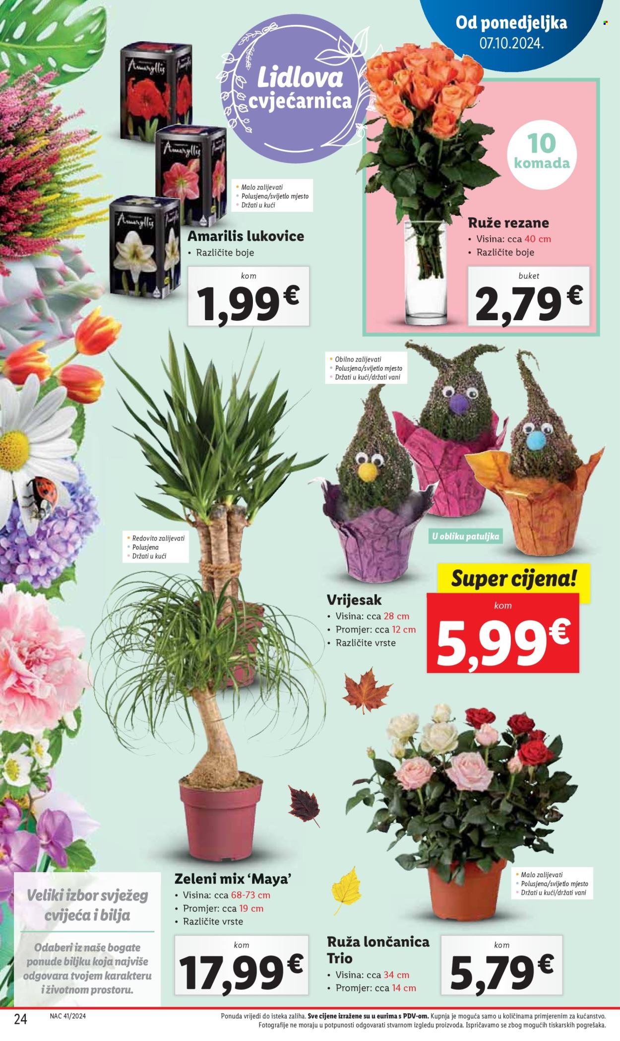 Lidl katalog - 10.10.2024. - 13.10.2024. Stranica 24