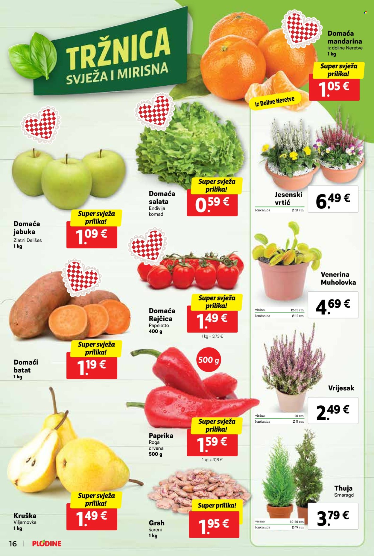Plodine katalog - 16.10.2024. - 22.10.2024. Stranica 16