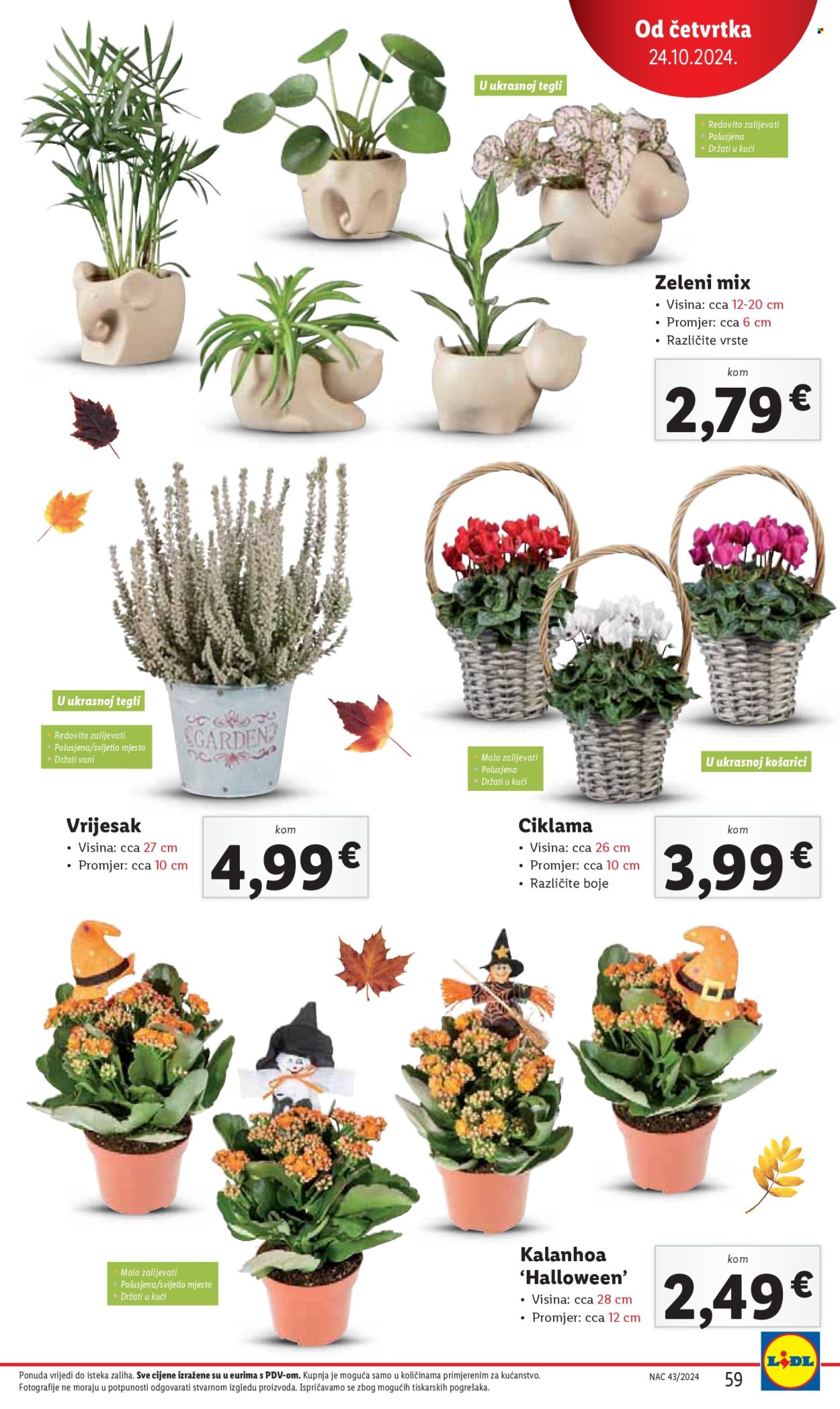 Lidl katalog - 21.10.2024. - 27.10.2024. Stranica 59