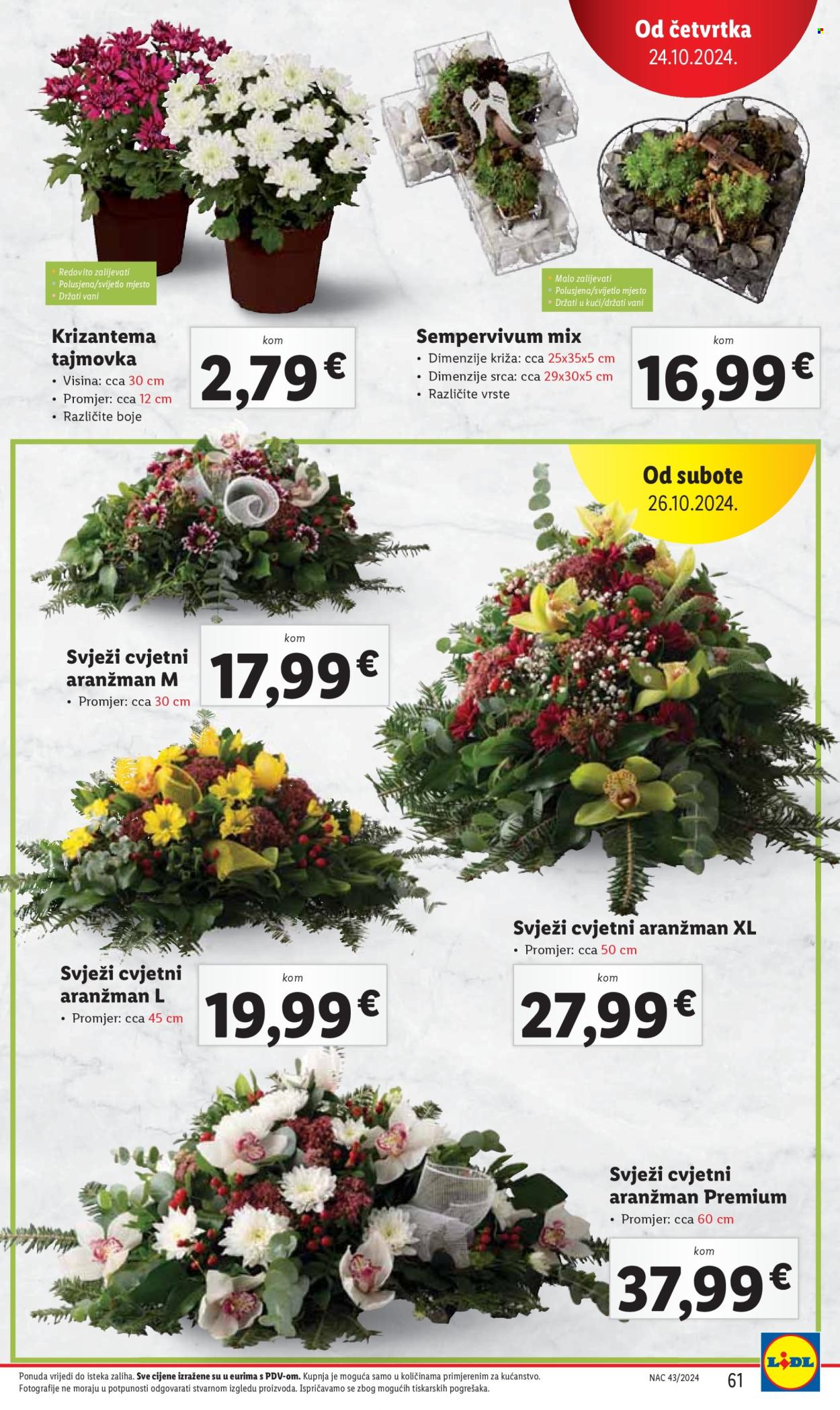 Lidl katalog - 21.10.2024. - 27.10.2024. Stranica 61