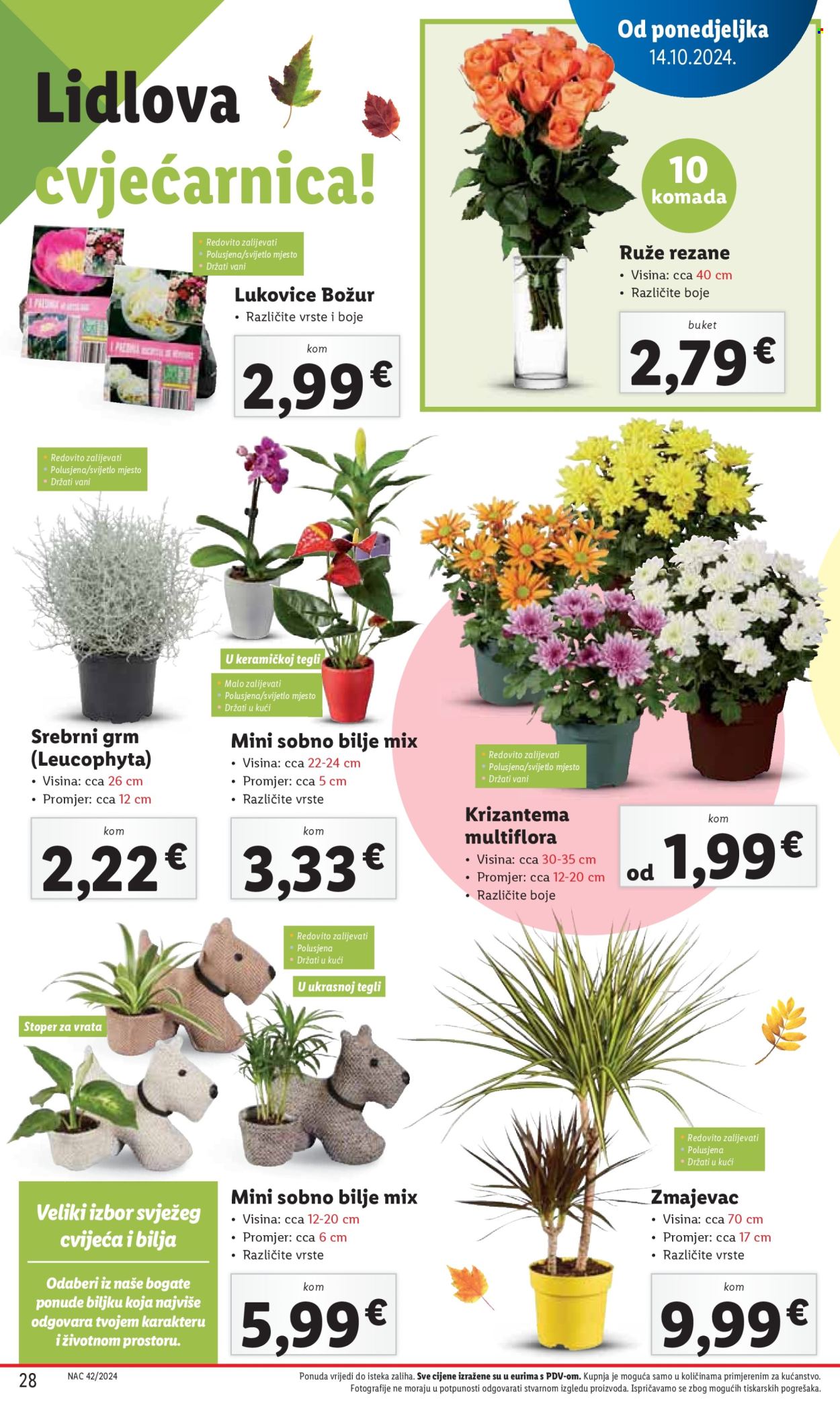 Lidl katalog - 17.10.2024. - 20.10.2024. Stranica 28
